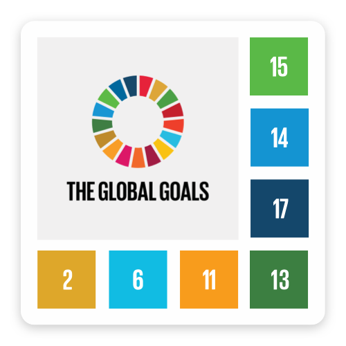 New Acre Project Global Goals